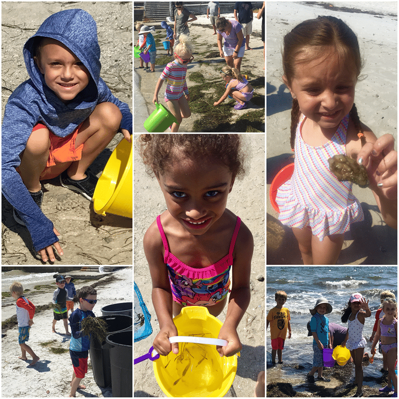 preschool students at a Florida beach